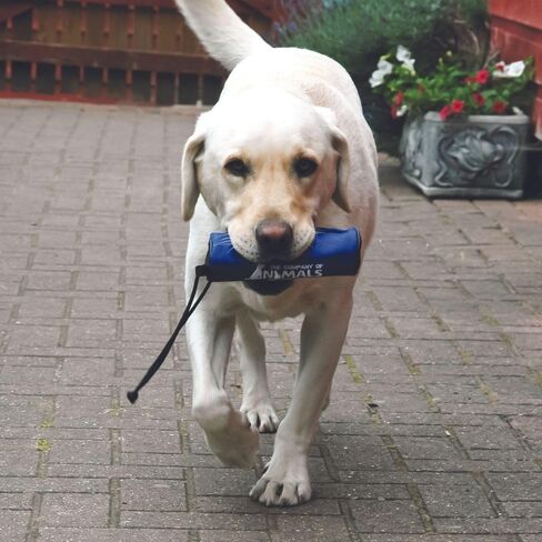 Company of Animals Retriever Toy for Dogs, Puppy & Dog Training Equipment, Recall Training, Easy Throwing, Tough Canvas, Zip Pouch to Store Reward Treats, For Small, Medium & Large Dogs & Puppies in Saudi Arabia