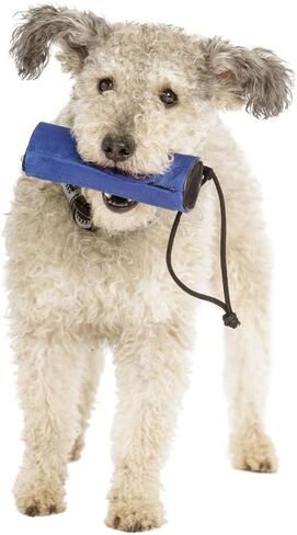 Company of Animals Retriever Toy for Dogs, Puppy & Dog Training Equipment, Recall Training, Easy Throwing, Tough Canvas, Zip Pouch to Store Reward Treats, For Small, Medium & Large Dogs & Puppies in Saudi Arabia