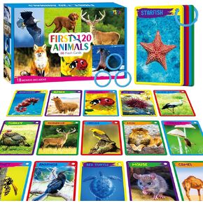 106 PCS Early Learning Flashcards, Double Sided Cards- Alphabet, Numbers, Foods, Animals, Shapes, Colors, Home Object with 4 Reclosable Rings, Learning Tool for Pre-K Kindergarten Toddlers