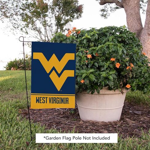 Desert Cactus West Virginia University Garden Flag WVU Mountaineers Banner 100% Polyester (Design A) in Saudi Arabia