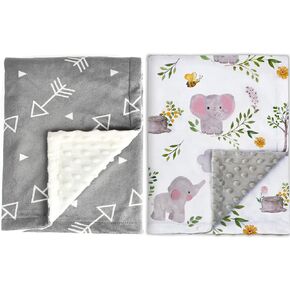 2 Pack Baby Blanket Super Soft Minky with Double Layer Dotted Backing, Little Grey Arrows Printed 30 x 40 Inch, Receiving Blankets