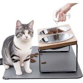 Upgraded Elevated Cat Bowls with Food Mat,15°Tilted Stand Anti Vomiting Raised Cat Dishes for Food and Water,2 Stainless Steel Bowls for Cats and Puppy