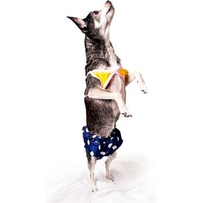 Midlee Yellow Polka Dot Dog Bikini (Large)
