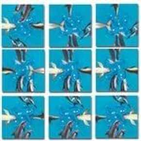 Scramble Squares Dolphins