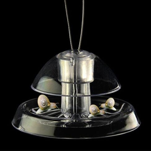 مصيدة الحلزون لخزان الأسماك، صندوق صيد الحلزون البلاستيكي لحوض السمك مع خط صيد in Kuwait