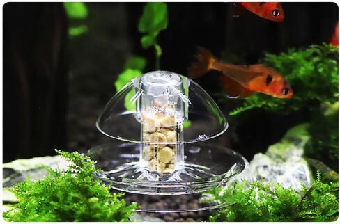 مصيدة الحلزون لخزان الأسماك، صندوق صيد الحلزون البلاستيكي لحوض السمك مع خط صيد in Kuwait