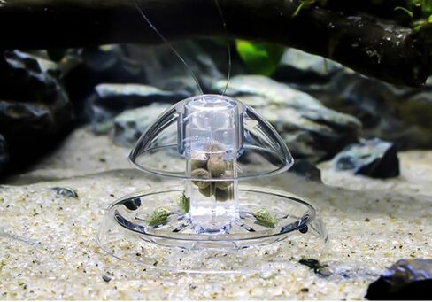 مصيدة الحلزون لخزان الأسماك، صندوق صيد الحلزون البلاستيكي لحوض السمك مع خط صيد in Kuwait