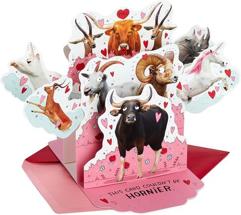 بطاقة الذكرى السنوية المضحكة من Hallmark Shoebox (طوال الليل) لعيد الميلاد والحب ولمجرد ذلك والمزيد in Kuwait