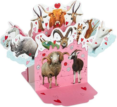بطاقة الذكرى السنوية المضحكة من Hallmark Shoebox (طوال الليل) لعيد الميلاد والحب ولمجرد ذلك والمزيد in Kuwait