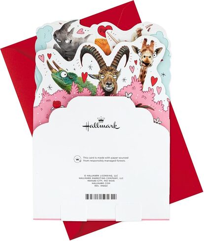 بطاقة الذكرى السنوية المضحكة من Hallmark Shoebox (طوال الليل) لعيد الميلاد والحب ولمجرد ذلك والمزيد in Kuwait