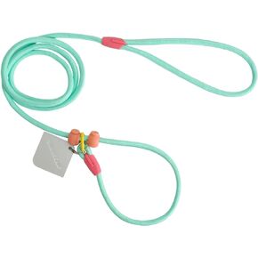 4.9FT Durable Nylon Dog Leash with Comfortable Handle for Walking and Training, pet Leashes Featuring for Medium Dogs Small Puppy (Orange)