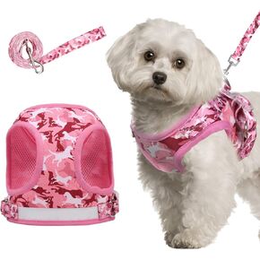Step in Dog Harness and Leash Set, Reflective Adjustable Dog Vest Harness No Pull Puppy Harnesses for Small Dogs and Cats (S, Pink)