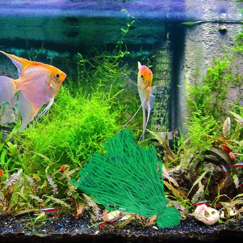 Fish Spawning Mop, Sinking Fish Breeding Mop for Fish Egg Laying, Decorative Aquarium Grass in Saudi Arabia
