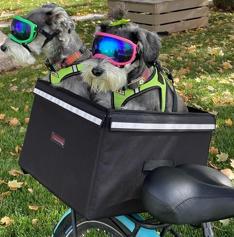 Bushwhacker Portland - Bike Rack Dog, Grocery and Goods Carrier - Bicycle Pannier Crate Cycling Basket Trunk Bag Rear Bed Storage Leash Carry Cargo Pet Commuter Behind Seat Accessories Ebike (Small) in Kuwait