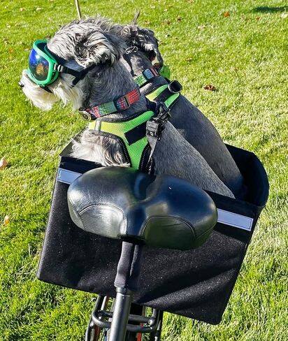 Bushwhacker Portland - Bike Rack Dog, Grocery and Goods Carrier - Bicycle Pannier Crate Cycling Basket Trunk Bag Rear Bed Storage Leash Carry Cargo Pet Commuter Behind Seat Accessories Ebike (Small) in Kuwait