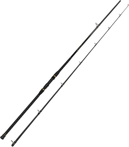 Fiblink Surf Casting Fishing Rod 2 Piece Carbon Fiber Portable Travel Fishing Casting Rod (10-Feet & 11-Feet) in Saudi Arabia