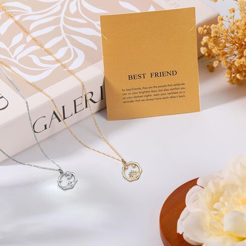 Gifts for Women, Butterfly Compass Cross Necklace Friendship Necklace Sister Gifts Daughter Gifts Graduation Chritmas Birthday in Saudi Arabia