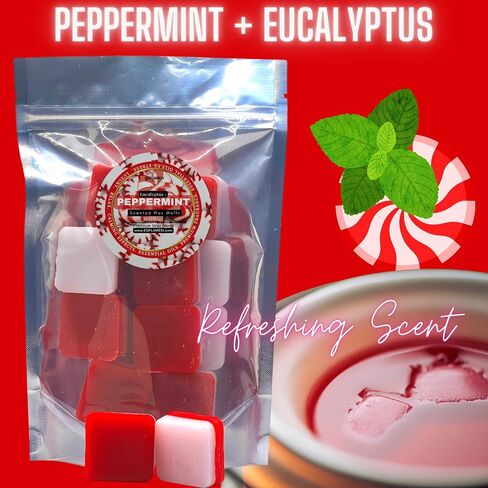 Wax Melts | Peppermint + Eucalyptus | Strongly Scented | Lasting Fragrance | Scented Wax Melts | Aromatherapy | Wax Melts Bulk | Handcrafted USA (Premium Wax Blend, 8oz) in Saudi Arabia