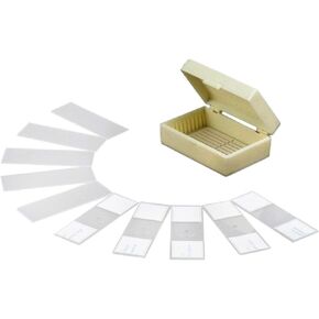 AmScope PB10 10 PC Prepared and Blank Microscope Glass Slides