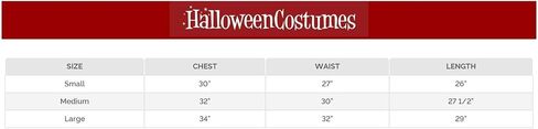 Rubie's womens The Flash Costume in Saudi Arabia
