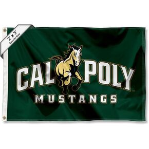 College Flags & Banners Co. Cal Poly Mustangs Small 2x3 Foot Flag