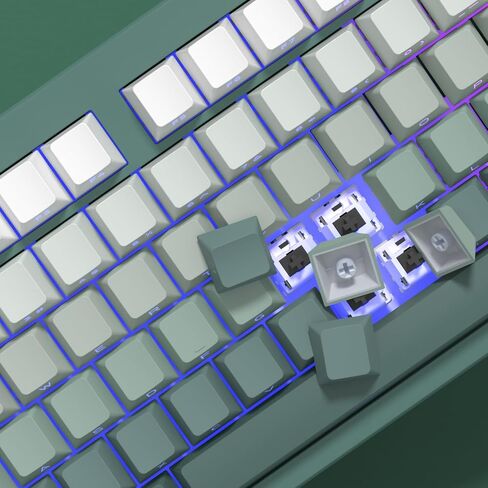 Side Print Shine Through Keycaps, 133 Keys PBT Double Shot Custom Backlit Keycap Set, Kelp Gradient Green Cherry Profile Keyboard Keycaps for 61/64/68/84/87/100/104/108 Mechanical Keyboard in Saudi Arabia