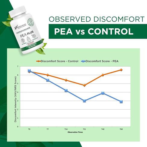 Palmitoylethanolamide Pea Supplement 600mg - Micronized Pea Supplements 99% - 2 Months Supply - Advanced Natural Support for Joint Comfort in Saudi Arabia