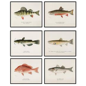 Fish - Vintage Fishing Decor and Ocean Beach Poster, Lake House and Cabin Print, Educational Art Print, Gift for Fishermen and Marine Biologists, Set of 6 Photos - 8x10 Unframed Art Prints Posters