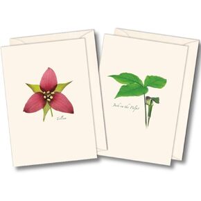 Earth Sky + Water - Wildflower Assortment II Notecard Set - 8 Blank Cards with Envelopes (4 each of 2 styles)