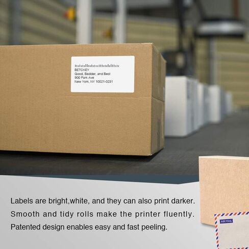 BETCKEY - Compatible DYMO 30256 (2-5/16" x 4") Shipping Labels, Strong Permanent Adhesive & Perforated, Compatible with DYMO Labelwriter 450, 4XL, Rollo & Zebra Desktop Printers [2 Rolls/600 Labels] in Saudi Arabia