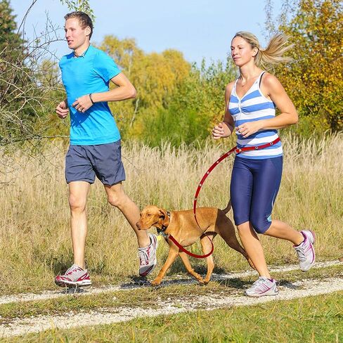 Hands Free Dog Leash Training Lead Double Snap Grommet Adjustable, Small 5/8" x 7.5’ Pink in Saudi Arabia