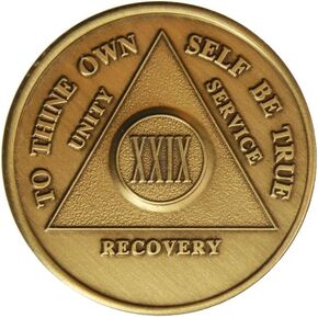 29 Year AA Medallion Traditional Bronze Raised Center Sobriety Chip