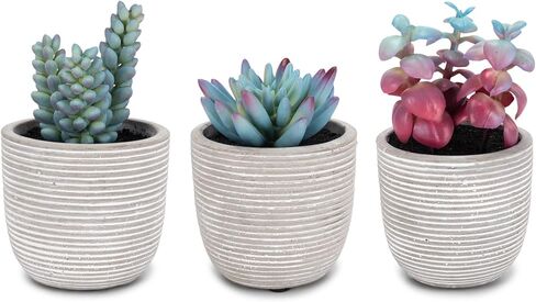 NAT & Jules Stripe Grey 5.75 inch Cement Artificial Potted Succulents Set of 3 in Saudi Arabia