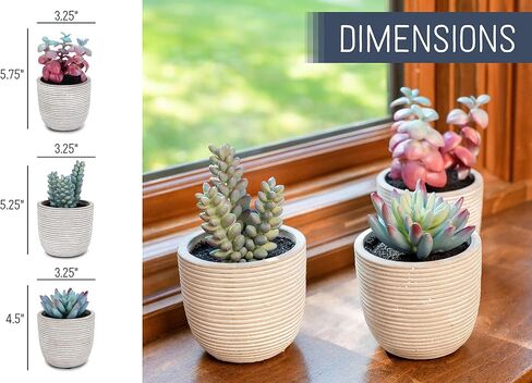 NAT & Jules Stripe Grey 5.75 inch Cement Artificial Potted Succulents Set of 3 in Saudi Arabia