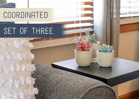 NAT & Jules Stripe Grey 5.75 inch Cement Artificial Potted Succulents Set of 3 in Saudi Arabia