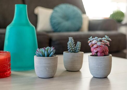 NAT & Jules Stripe Grey 5.75 inch Cement Artificial Potted Succulents Set of 3 in Saudi Arabia