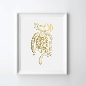 Human Digestive System Gold Foil Art Print Human Digestive Tract Anatomy Gold Print Human GI System Anatomy Gold Wall Art Decor (08" x 10" UNFRAMED)