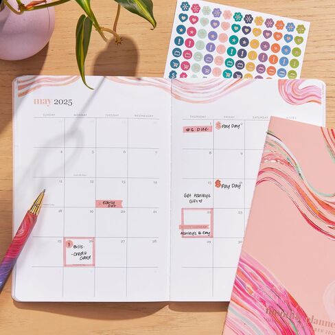 Erin Condren 18-Month Petite Planner (July 2024 - December 2025) - Evolve | Built-in Pocket, Lined Note Pages, Stickers Included in Saudi Arabia