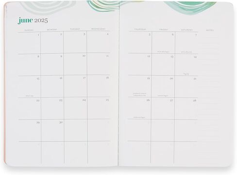 Erin Condren 18-Month Petite Planner (July 2024 - December 2025) - Evolve | Built-in Pocket, Lined Note Pages, Stickers Included in Saudi Arabia