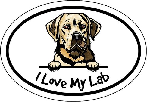 ملصق من الفينيل من WickedGoodz I Love My Lab - ملصق ممتص الصدمات لسلالة الكلاب باللون الأصفر من لابرادور ريتريفر - لأجهزة الكمبيوتر المحمولة والنوافذ والسيارات والشاحنات in Saudi Arabia