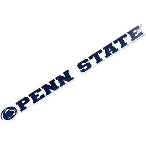 Desert Cactus The Pennsylvania State University Penn State PSU Nittany Lions University Name Logo Vinyl Decal Laptop Water Bottle Car Scrapbook (15 Inch Sticker)