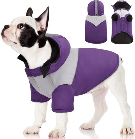 Kuoser Dog Winter Coat with Hood, Windproof & Snowproof Pet Fleece Lined Warm Jacket, Reflective Puppy Thick Cold Weather Vest Outdoor Padded Clothes with Harness Hole for Small Medium Large Dogs in Saudi Arabia