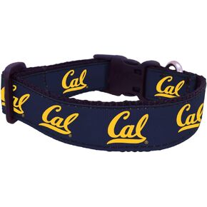 NCAA California Golden Bears Dog Collar (Team Color, Large)