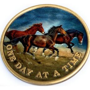 RecoveryChip Brown Horses Galloping One Day at A Time Color Serenity Peace with The Storm Medallion