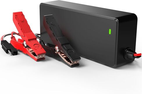 14.6V 5A Smart Charger for 12V LiFepo4 Lithium Battery, Fast Charger with Alligator Clips for 12.8 Volt Lipo Lithium Iron Phosphate Battery LFP Rechargeable Batteries in Saudi Arabia
