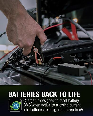 14.6V 5A Smart Charger for 12V LiFepo4 Lithium Battery, Fast Charger with Alligator Clips for 12.8 Volt Lipo Lithium Iron Phosphate Battery LFP Rechargeable Batteries in Saudi Arabia