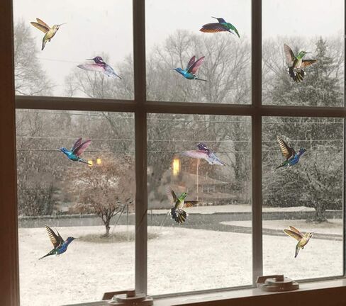 ملصقات نافذة الطيور المضادة للتصادمات، باب زجاجي لحماية الطيور وحفظها، الطائر الطنان (6 قطع) in Kuwait