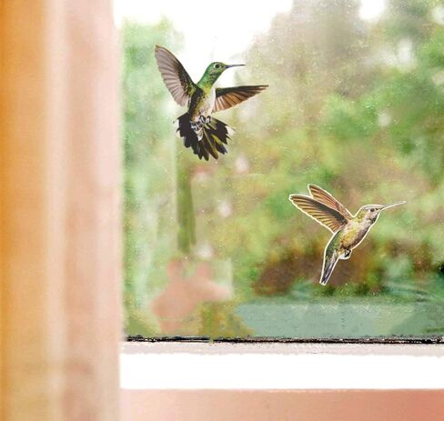 ملصقات نافذة الطيور المضادة للتصادمات، باب زجاجي لحماية الطيور وحفظها، الطائر الطنان (6 قطع) in Kuwait