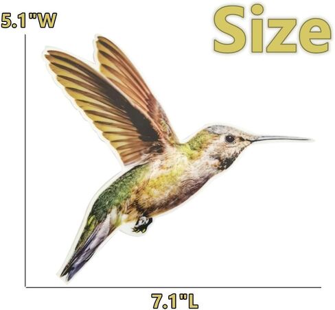 ملصقات نافذة الطيور المضادة للتصادمات، باب زجاجي لحماية الطيور وحفظها، الطائر الطنان (6 قطع) in Kuwait