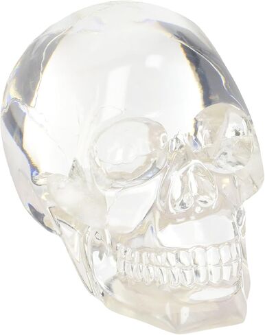 Clear Translucent Skull Collectible Figurine in Saudi Arabia